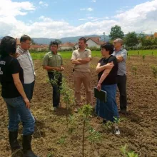 Sortni ogled Čačak