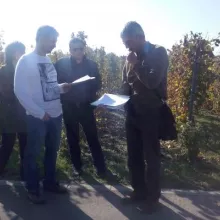 Vinograd u Sremskim Karlovcima