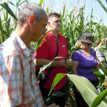 FRANCUSKA-obilazak VCU-ogleda kukuruza sa kolegama iz GEVES-a
