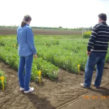 Sombor, april 2015. godine