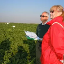 GEVES-ogled sa šećernom repom