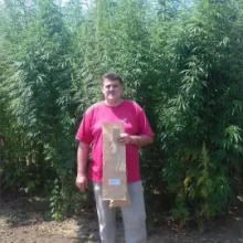 vcu konoplja BP 2016