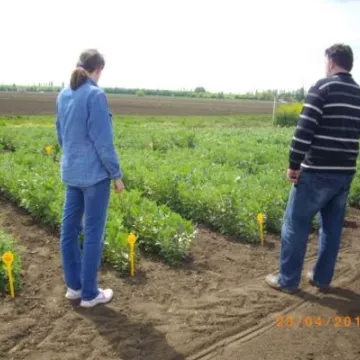 Sombor, april 2015. godine